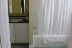 Audrey-Bliss-bathroom